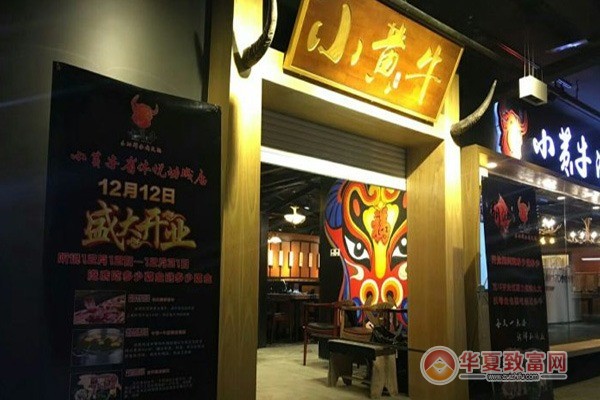 小黄牛潮汕牛肉火锅加盟